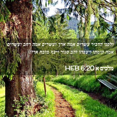 Picture 02 - מלכים א 6:20 HEB - ולפני הדביר עשרים אמה ארך - Bible Verse Picture