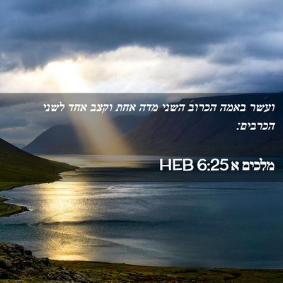 Picture 02 - מלכים א 6:25 HEB - ועשר באמה הכרוב השני מדה - Bible Verse Picture