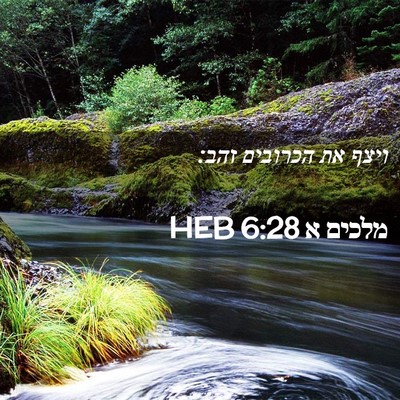 Picture 02 - מלכים א 6:28 HEB - ויצף את הכרובים - Bible Verse Picture