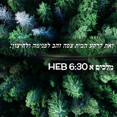 Picture 02 - מלכים א 6:30 HEB - ואת קרקע הבית צפה זהב - Bible Verse Picture
