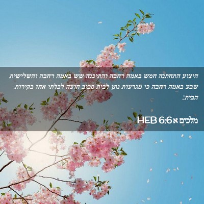 Picture 02 - מלכים א 6:6 HEB - היצוע התחתנה חמש באמה רחבה - Bible Verse Picture