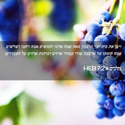 Picture 02 - מלכים א 7:2 HEB - ויבן את בית יער הלבנון מאה - Bible Verse Picture