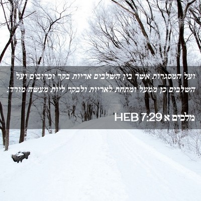 Picture 02 - מלכים א 7:29 HEB - ועל המסגרות אשר בין השלבים - Bible Verse Picture
