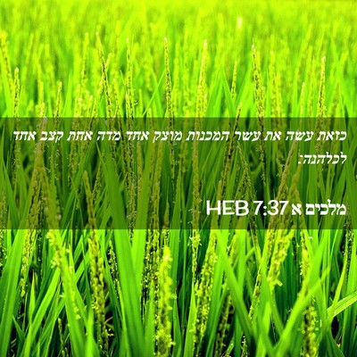 Picture 02 - מלכים א 7:37 HEB - כזאת עשה את עשר המכנות מוצק - Bible Verse Picture