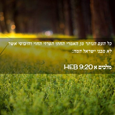 Picture 02 - מלכים א 9:20 HEB - כל העם הנותר מן האמרי החתי - Bible Verse Picture