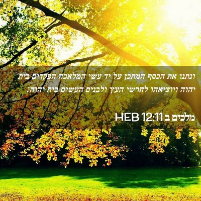Picture 02 - מלכים ב 12:11 HEB - ונתנו את הכסף המתכן על יד - Bible Verse Picture