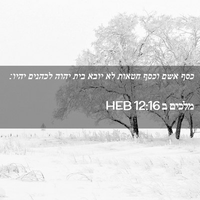 Picture 02 - מלכים ב 12:16 HEB - כסף אשם וכסף חטאות לא יובא - Bible Verse Picture