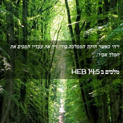 Picture 02 - מלכים ב 14:5 HEB - ויהי כאשר חזקה הממלכה בידו - Bible Verse Picture