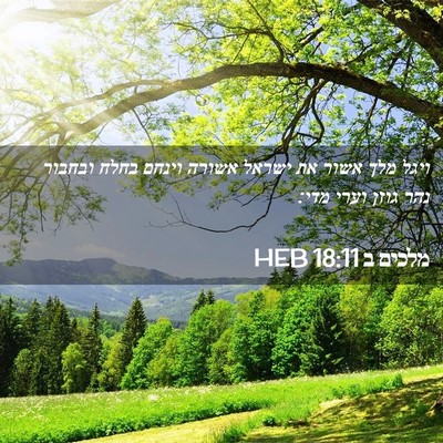 Picture 02 - מלכים ב 18:11 HEB - ויגל מלך אשור את ישראל - Bible Verse Picture