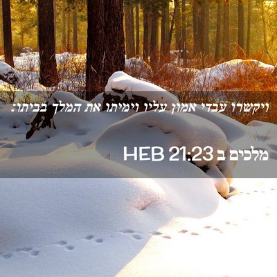 Picture 02 - מלכים ב 21:23 HEB - ויקשרו עבדי אמון עליו - Bible Verse Picture