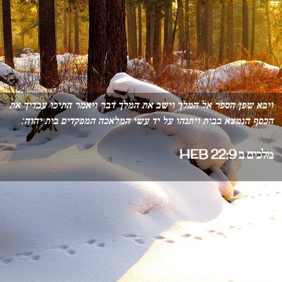 Picture 02 - מלכים ב 22:9 HEB - ויבא שפן הספר אל המלך וישב - Bible Verse Picture