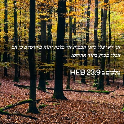 Picture 02 - מלכים ב 23:9 HEB - אך לא יעלו כהני הבמות אל - Bible Verse Picture