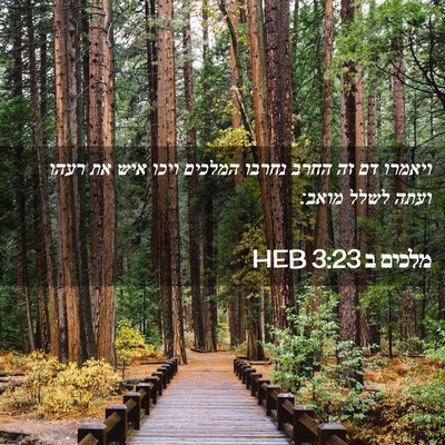 Picture 02 - מלכים ב 3:23 HEB - ויאמרו דם זה החרב נחרבו - Bible Verse Picture