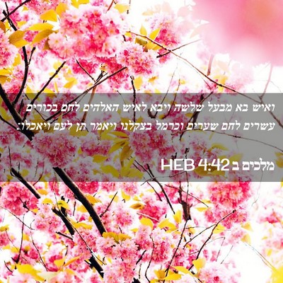 Picture 02 - מלכים ב 4:42 HEB - ואיש בא מבעל שלשה ויבא לאיש - Bible Verse Picture