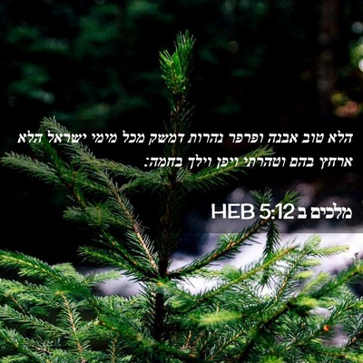 Picture 02 - מלכים ב 5:12 HEB - הלא טוב אבנה ופרפר נהרות - Bible Verse Picture