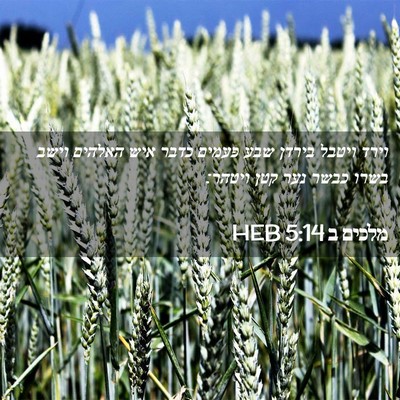 Picture 02 - מלכים ב 5:14 HEB - וירד ויטבל בירדן שבע פעמים - Bible Verse Picture