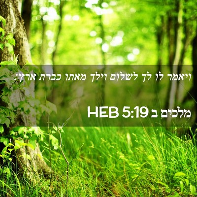 Picture 02 - מלכים ב 5:19 HEB - ויאמר לו לך לשלום וילך מאתו - Bible Verse Picture