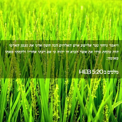 Picture 02 - מלכים ב 5:20 HEB - ויאמר גיחזי נער אלישע איש - Bible Verse Picture