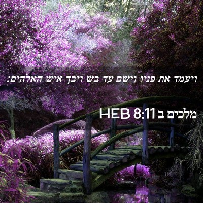 Picture 02 - מלכים ב 8:11 HEB - ויעמד את פניו וישם עד בש - Bible Verse Picture