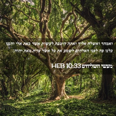 Picture 02 - מעשי השליחים 10:33 HEB - ואמהר ואשלח אליך ואתה - Bible Verse Picture
