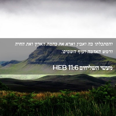 Picture 02 - מעשי השליחים 11:6 HEB - והסתכלתי בה ואבין וארא את - Bible Verse Picture