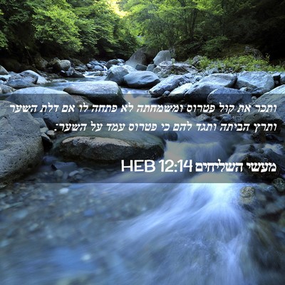 Picture 02 - מעשי השליחים 12:14 HEB - ותכר את קול פטרוס ומשמחתה - Bible Verse Picture