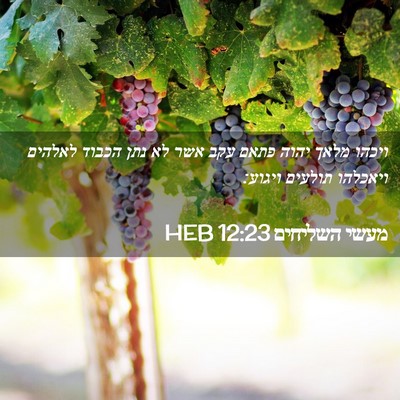 Picture 02 - מעשי השליחים 12:23 HEB - ויכהו מלאך יהוה פתאם עקב - Bible Verse Picture