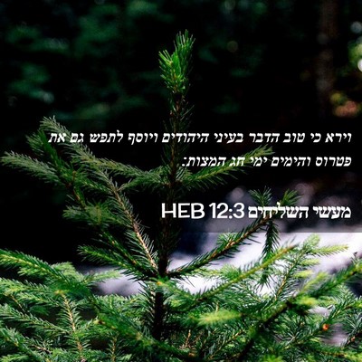 Picture 02 - מעשי השליחים 12:3 HEB - וירא כי טוב הדבר בעיני - Bible Verse Picture