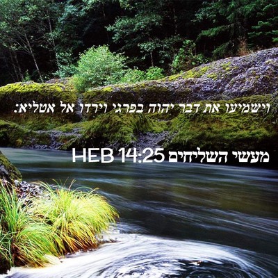 Picture 02 - מעשי השליחים 14:25 HEB - וישמיעו את דבר יהוה בפרגי - Bible Verse Picture