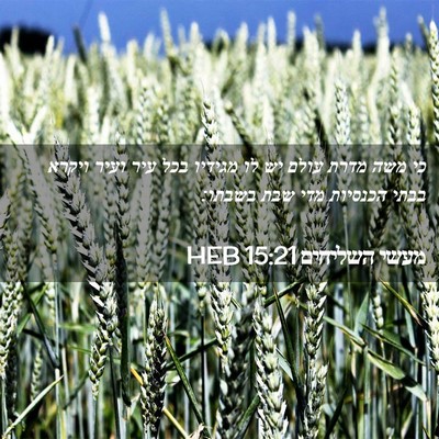 Picture 02 - מעשי השליחים 15:21 HEB - כי משה מדרת עולם יש לו - Bible Verse Picture
