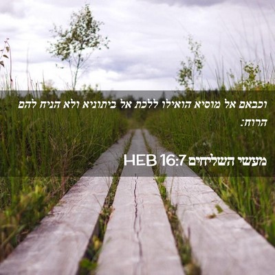Picture 02 - מעשי השליחים 16:7 HEB - וכבאם אל מוסיא הואילו ללכת - Bible Verse Picture