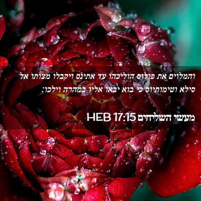 Picture 02 - מעשי השליחים 17:15 HEB - והמלוים את פולוס הוליכהו - Bible Verse Picture
