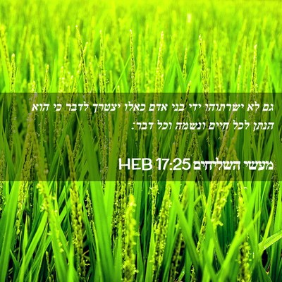Picture 02 - מעשי השליחים 17:25 HEB - גם לא ישרתוהו ידי בני אדם - Bible Verse Picture