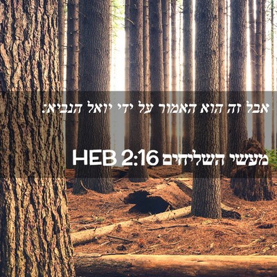 Picture 02 - מעשי השליחים 2:16 HEB - אבל זה הוא האמור על ידי - Bible Verse Picture
