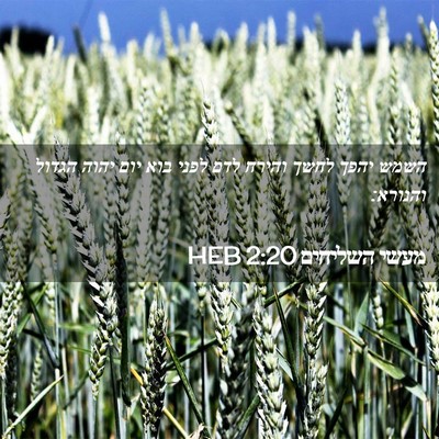 Picture 02 - מעשי השליחים 2:20 HEB - השמש יהפך לחשך והירח לדם - Bible Verse Picture