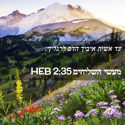 Picture 02 - מעשי השליחים 2:35 HEB - עד אשית איביך הדם - Bible Verse Picture