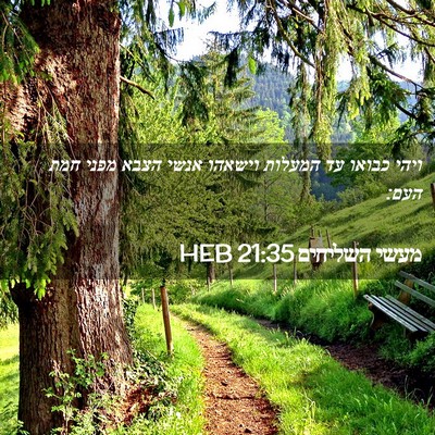 Picture 02 - מעשי השליחים 21:35 HEB - ויהי כבואו עד המעלות - Bible Verse Picture