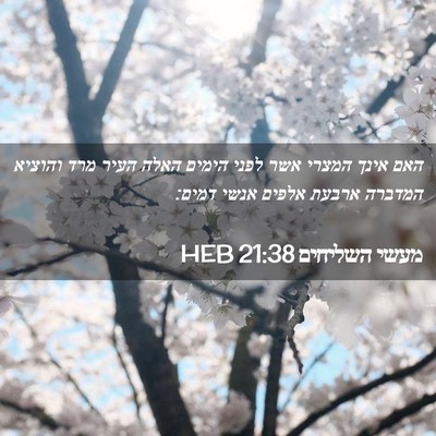 Picture 02 - מעשי השליחים 21:38 HEB - האם אינך המצרי אשר לפני - Bible Verse Picture