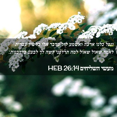 Picture 02 - מעשי השליחים 26:14 HEB - ונפל כלנו ארצה ואשמע קול - Bible Verse Picture