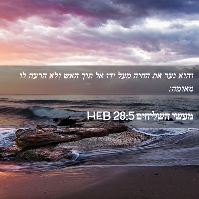 Picture 02 - מעשי השליחים 28:5 HEB - והוא נער את החיה מעל ידו אל - Bible Verse Picture