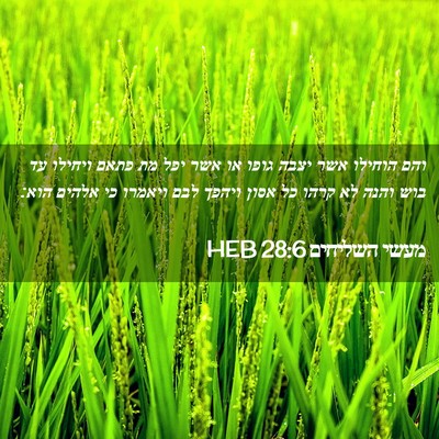 Picture 02 - מעשי השליחים 28:6 HEB - והם הוחילו אשר יצבה גופו או - Bible Verse Picture