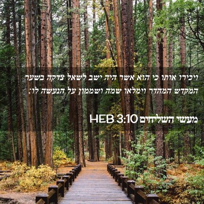 Picture 02 - מעשי השליחים 3:10 HEB - ויכירו אותו כי הוא אשר היה - Bible Verse Picture