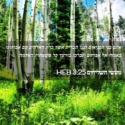 Picture 02 - מעשי השליחים 3:25 HEB - אתם בני הנביאים ובני הברית - Bible Verse Picture
