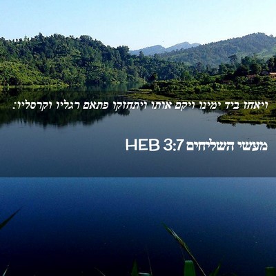 Picture 02 - מעשי השליחים 3:7 HEB - ויאחז ביד ימינו ויקם אותו - Bible Verse Picture