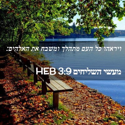 Picture 02 - מעשי השליחים 3:9 HEB - ויראהו כל העם מתהלך ומשבח - Bible Verse Picture