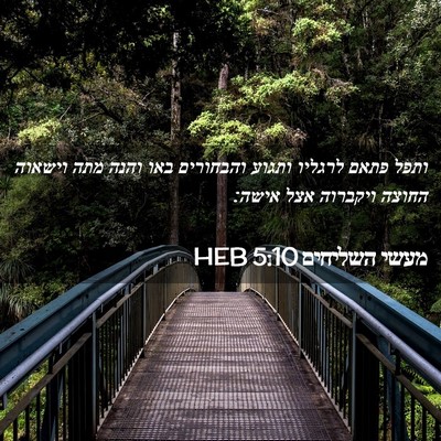 Picture 02 - מעשי השליחים 5:10 HEB - ותפל פתאם לרגליו ותגוע - Bible Verse Picture