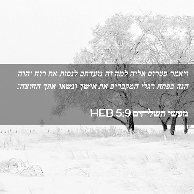 Picture 02 - מעשי השליחים 5:9 HEB - ויאמר פטרוס אליה למה זה - Bible Verse Picture