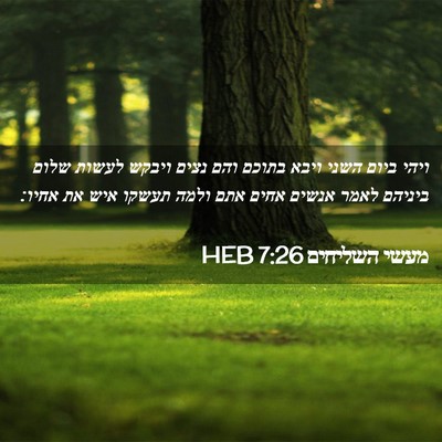 Picture 02 - מעשי השליחים 7:26 HEB - ויהי ביום השני ויבא בתוכם - Bible Verse Picture