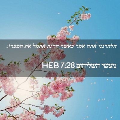 Picture 02 - מעשי השליחים 7:28 HEB - הלהרגני אתה אמר כאשר הרגת - Bible Verse Picture