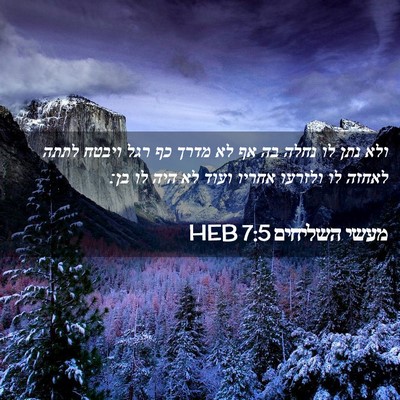 Picture 02 - מעשי השליחים 7:5 HEB - ולא נתן לו נחלה בה אף לא - Bible Verse Picture